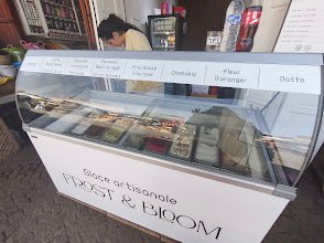 A World of Frozen Delights